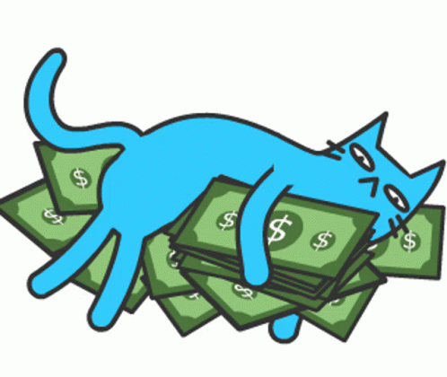 money x cat