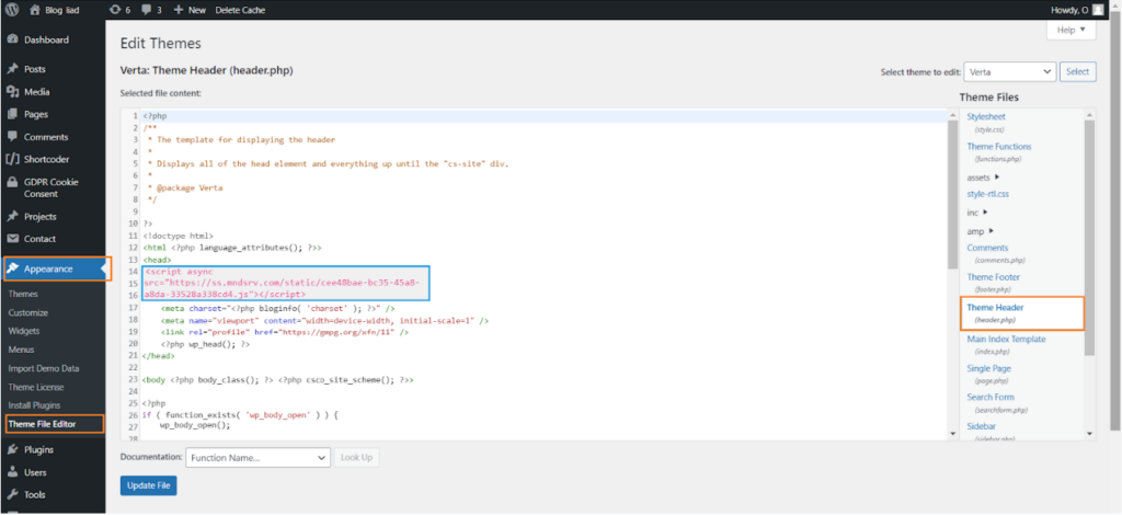 Вставка кода вручную через обновление темы
